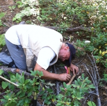 Professor Hart measures soil emissions in the Sierra.